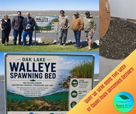 Oak_Lake_Spawning_Bed
