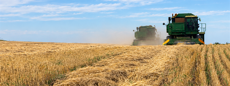 combines_in_field